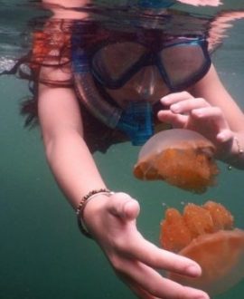 Snorkelling